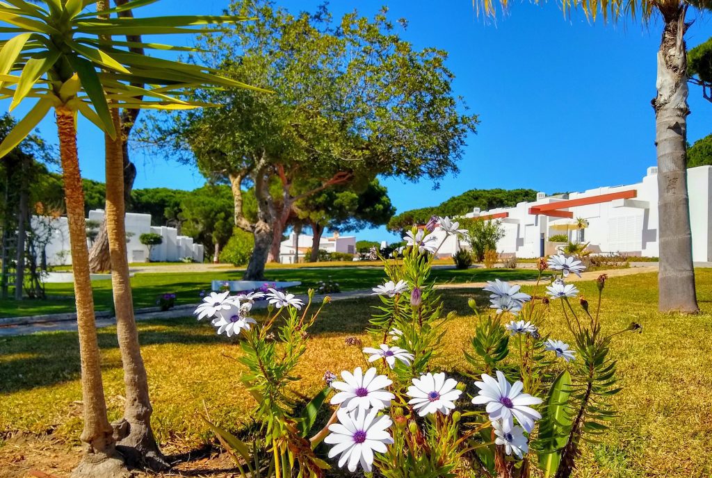 Prado Villas gardens and villas