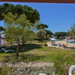 Garden surrounding villas