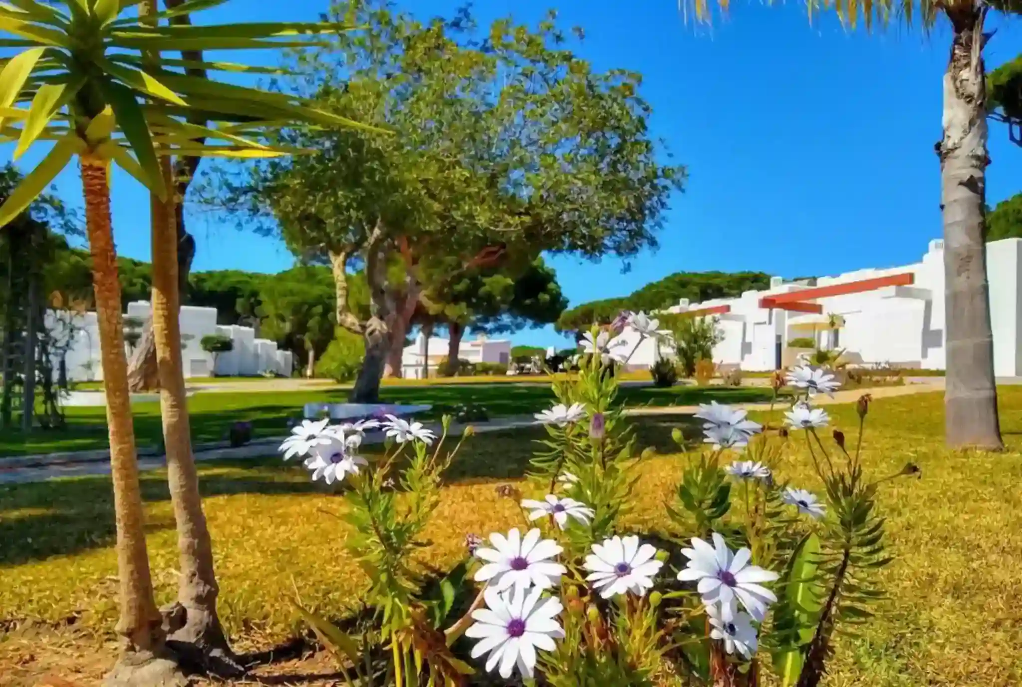 Long Term Villa rentals Algarve